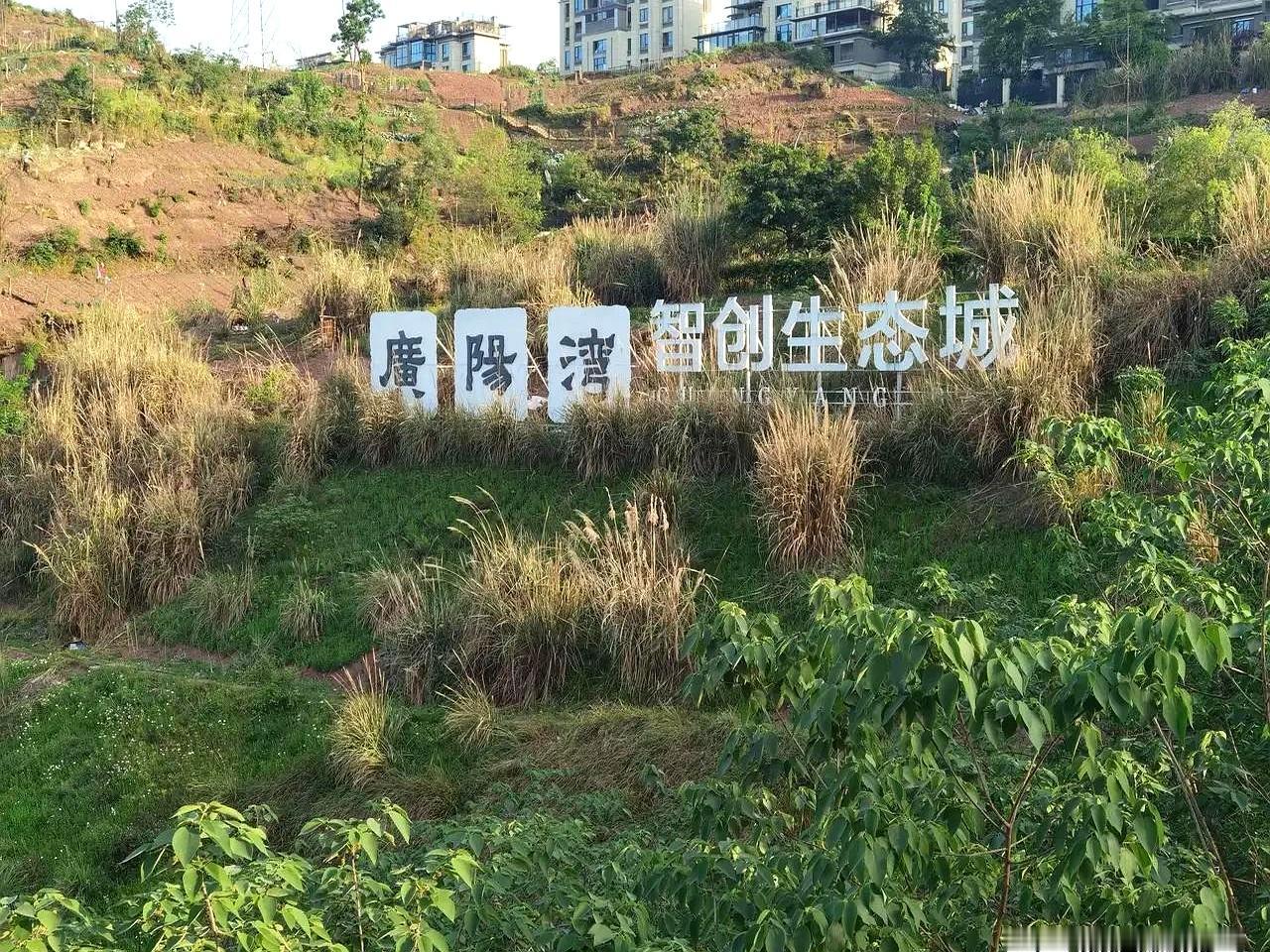 广阳岛这事，真有点尴尬。生态是做回来了，可一转头再看，还是像个“建了一半的样板