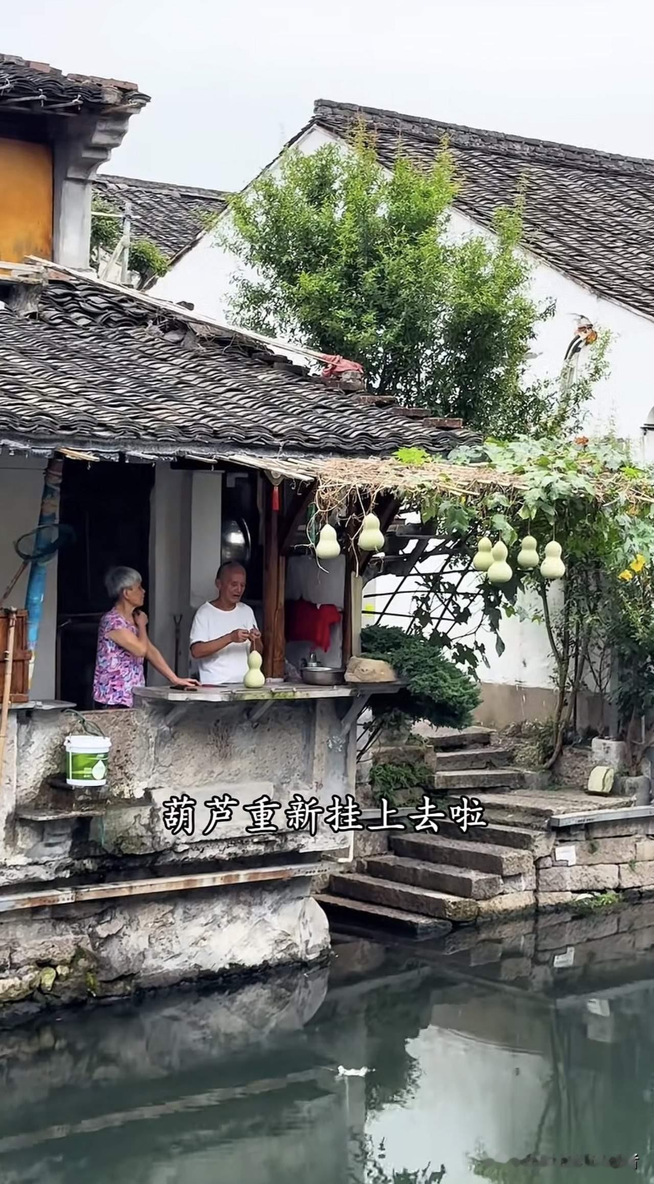绍兴这个“葫芦爷爷”的事儿真墨迹，一会欢迎大家，一会摘葫芦避免打扰，如今又把葫芦