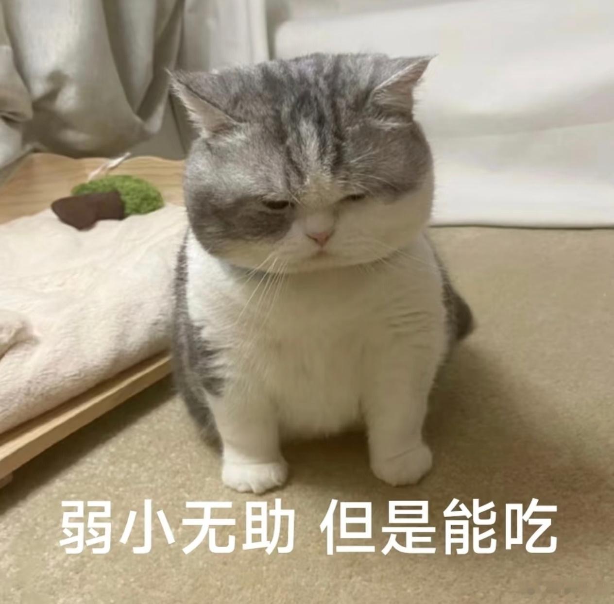 干饭时间！宝子们晚上吃什么？我：吃卤肉🥓
