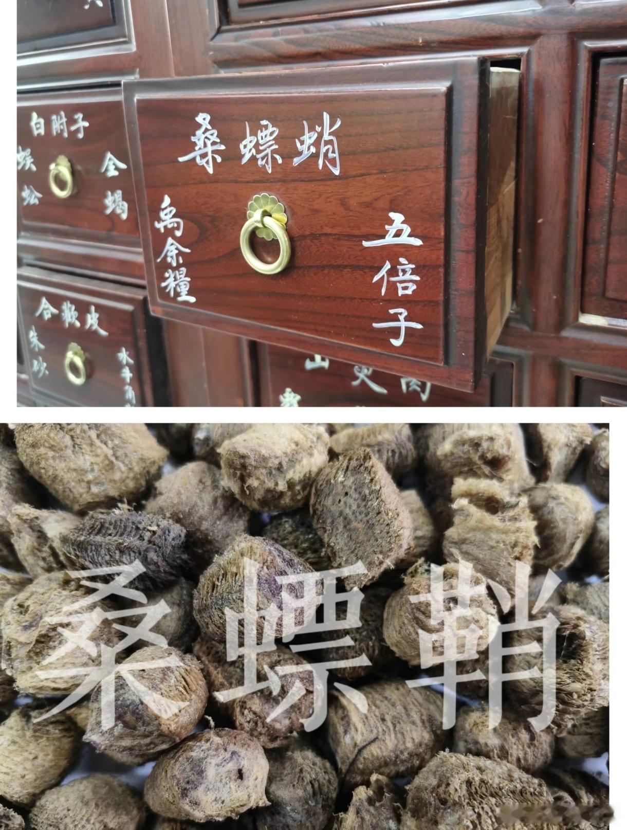 莫言小说《生死疲劳》里，迎春就烧桑螵蛸给西门欢吃，治尿床的毛病桑螵蛸为螳螂科昆虫