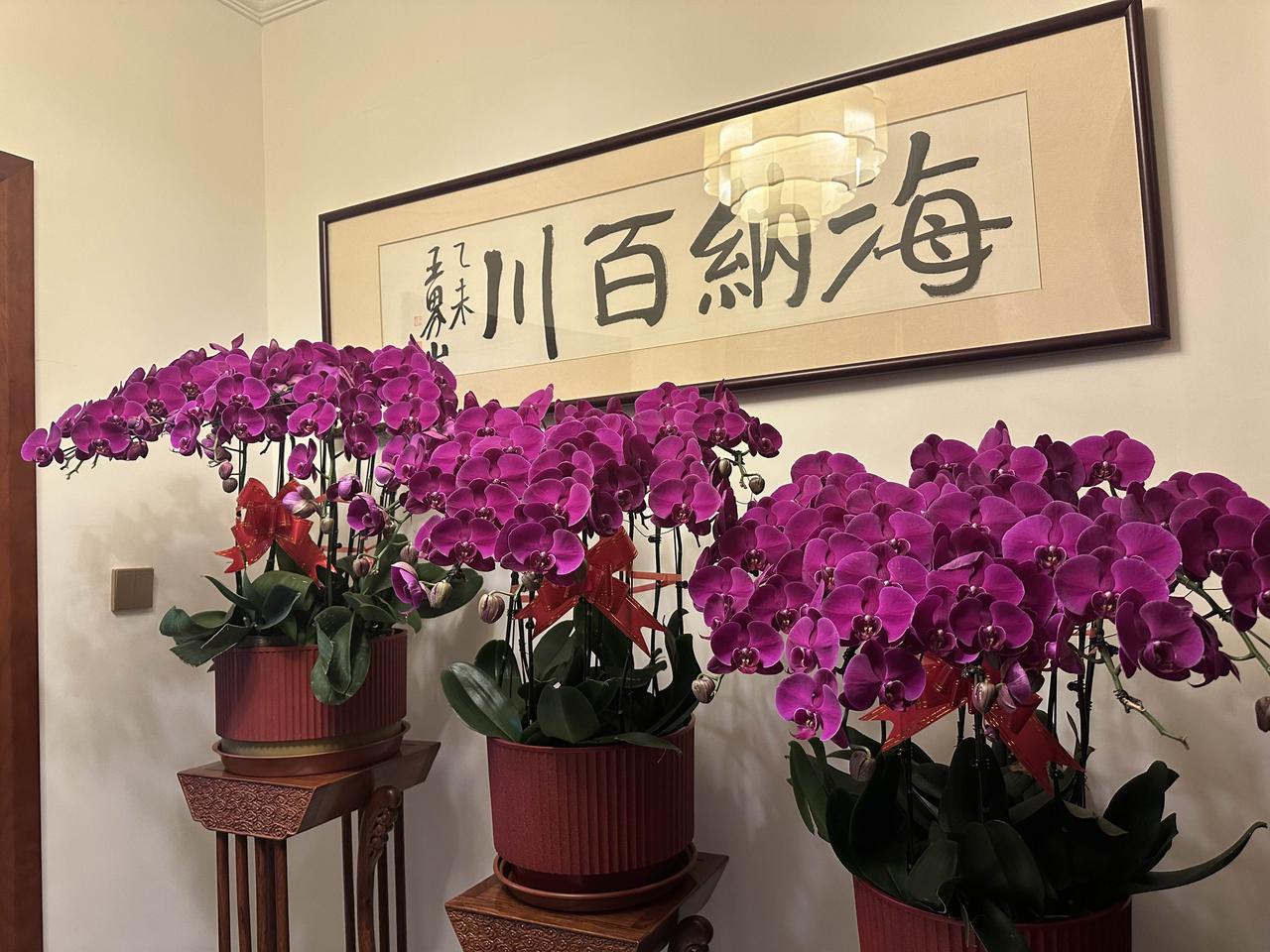 现在中国房地产调控的大方向就是止跌回稳，策层面已经这么明确了，房价再大幅下跌的可
