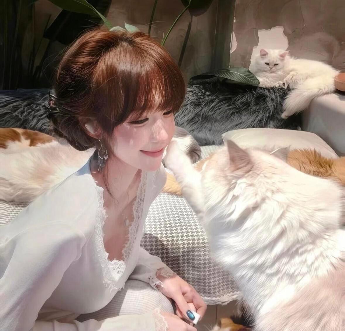 𝙒𝙚𝘾𝙝𝙖𝙩|猫系女生头像​​​