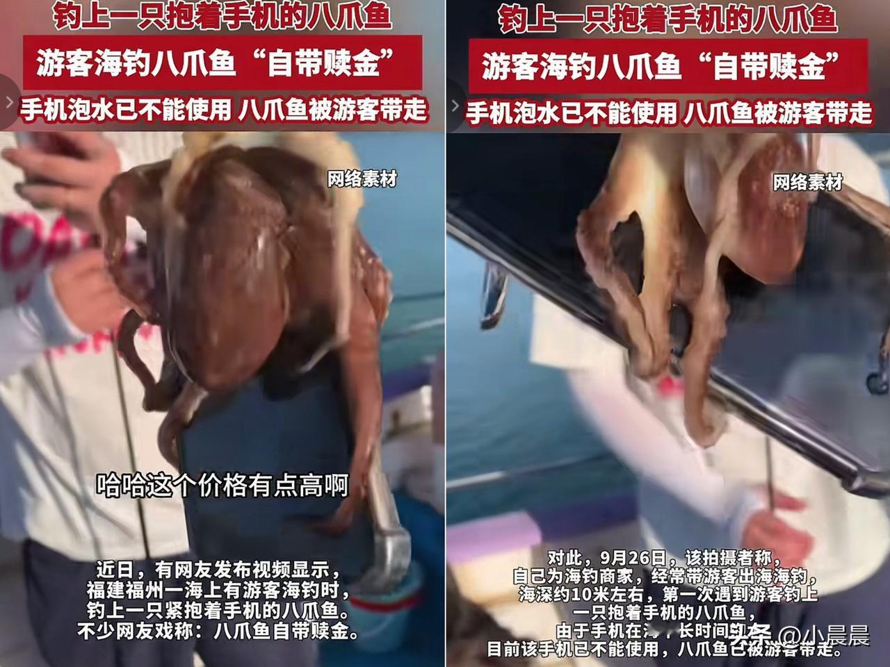 “赚大发了！这钓的哪是鱼，分明是惊喜盲盒啊！福建一游客海边钓鱼，本以为钓