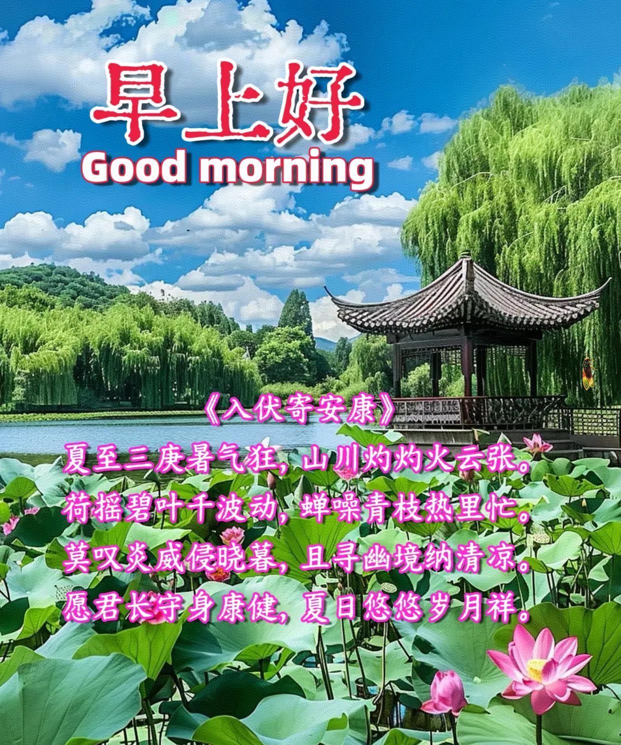朋友：早上好！头伏进入第二天，愿你夏日安康。伏至暑气盛，平安度夏时。《入伏