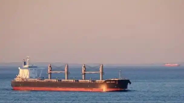 3月30日，满载73万桶原油的俄罗斯“阿纳托利·科洛德金”号油轮驶入古巴马坦萨斯