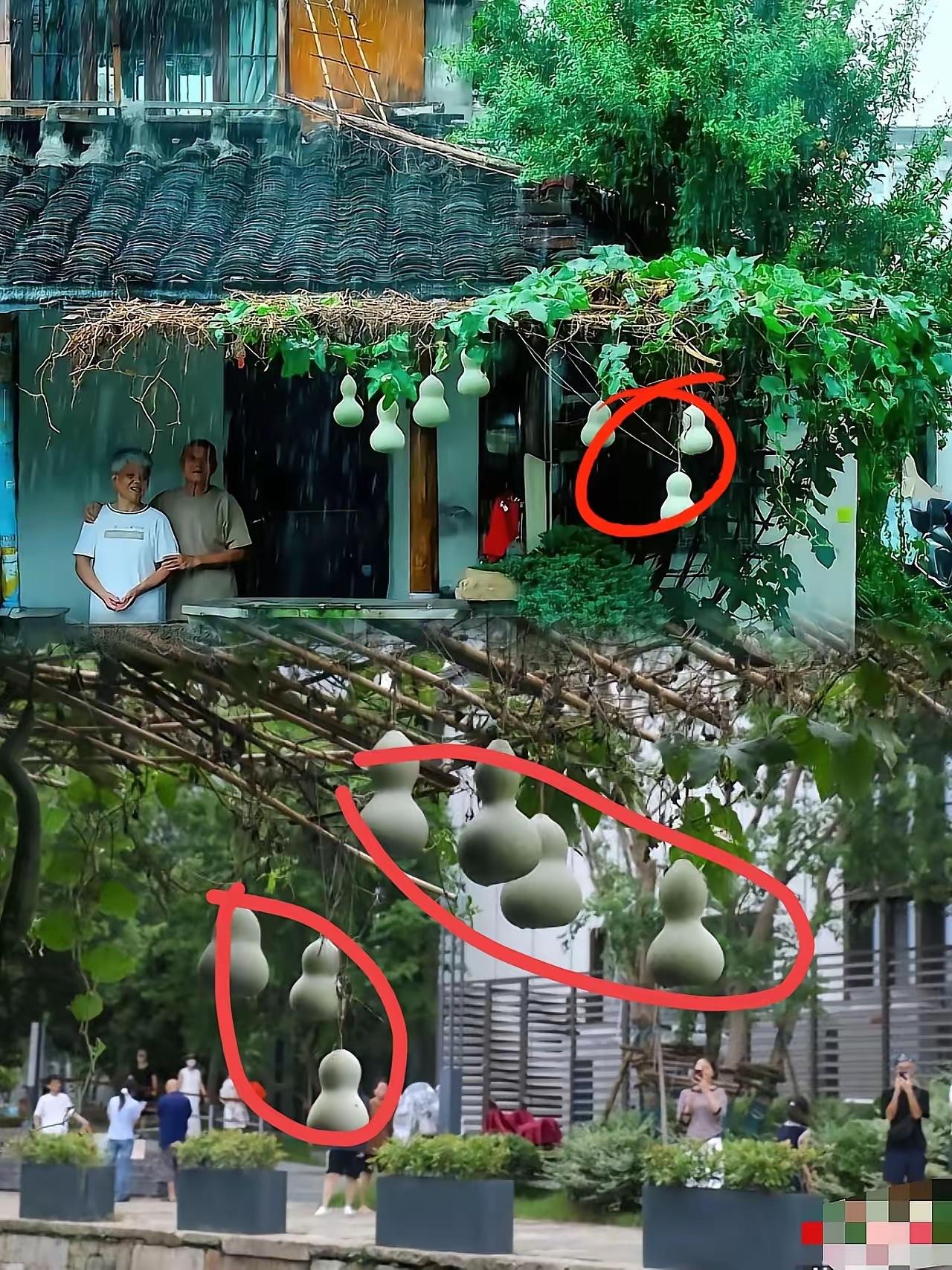 葫芦爷爷这波操作背后是有高人指点了先把葫芦剪下来，然后再挂上去，这波操作热度