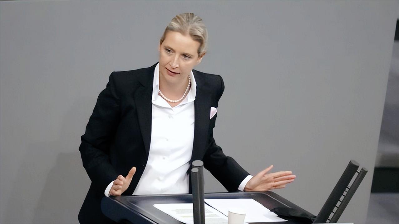 9月29日，德国社民党正式呼吁推动针对魏德尔的AfD（德国选择党）的禁党审查程序
