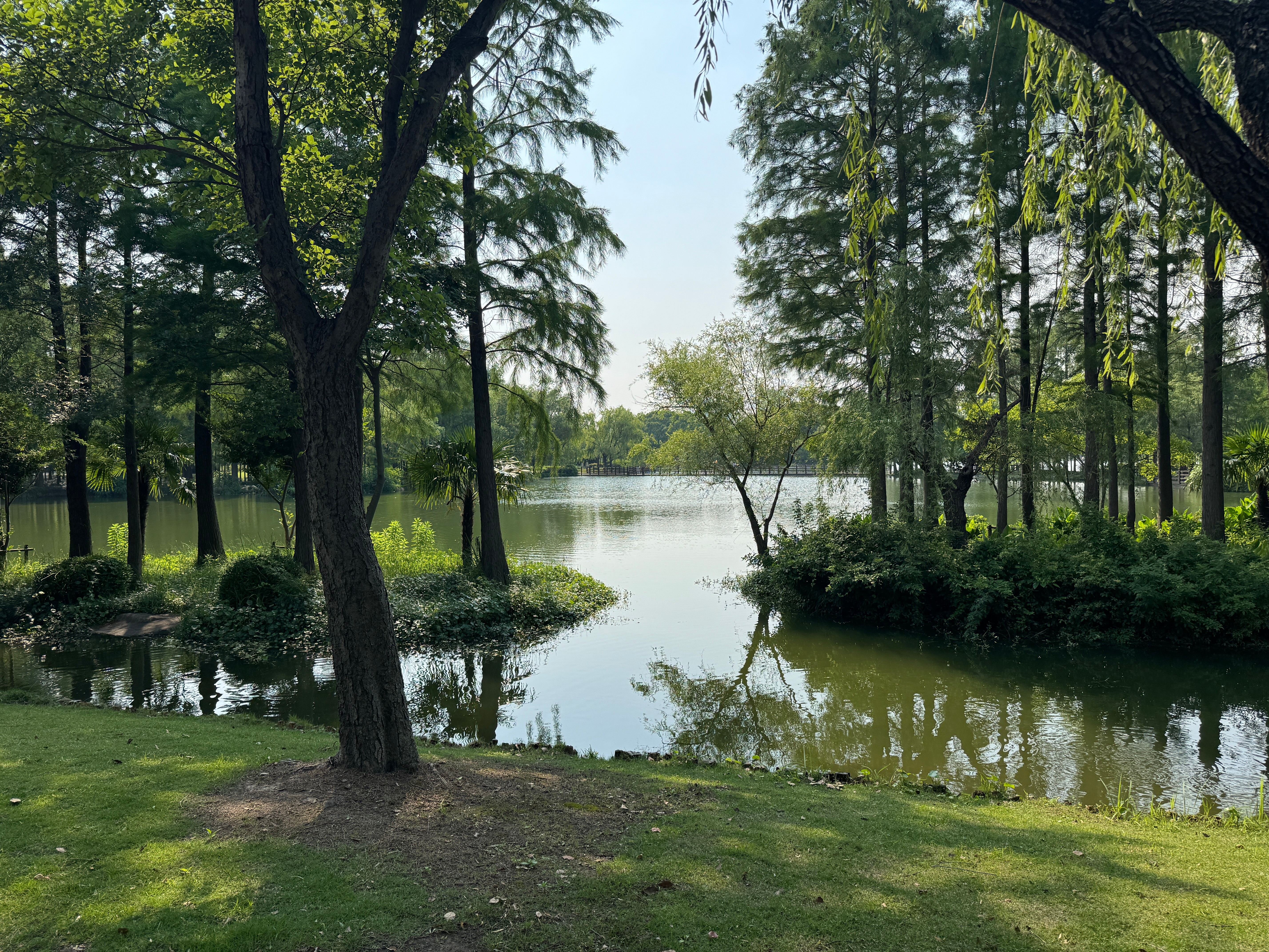 最大心率185跑10公里。太久没跑了，只有靠超频才能跑下来[捂脸哭]跑步打卡