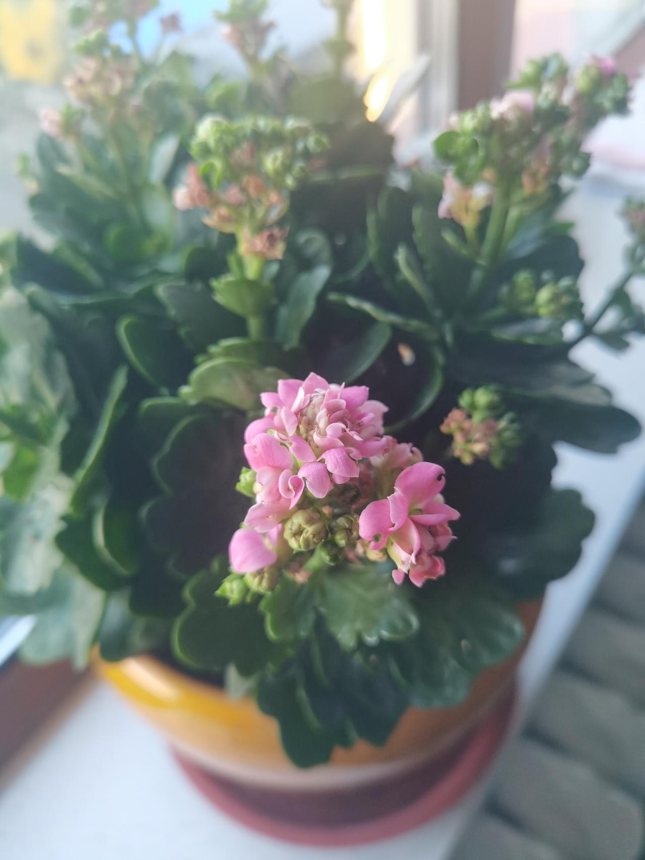 如果你有一套房子出租现在是不是该卖掉因为它是闲置房我说不卖老伴谁卖因为