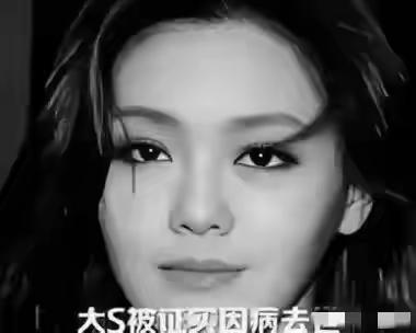 注意看，最近，大S遗产分配的话题热度居高不下，成为大众关注的焦点。众人纷纷猜测谁