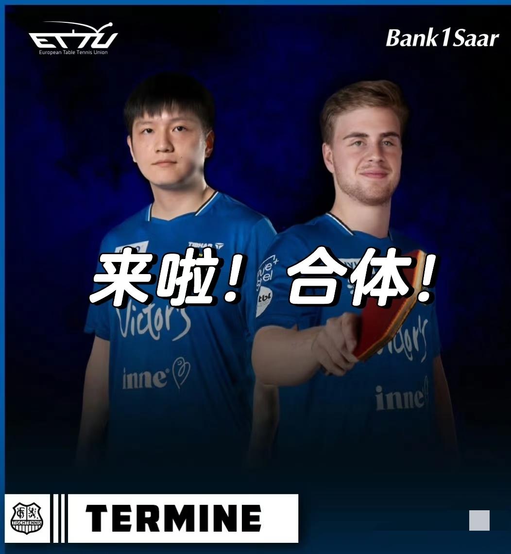 樊振东和莫雷加德已经开始合练了，中间站着的王志教练心里一定在想：真爽啊，从没打过