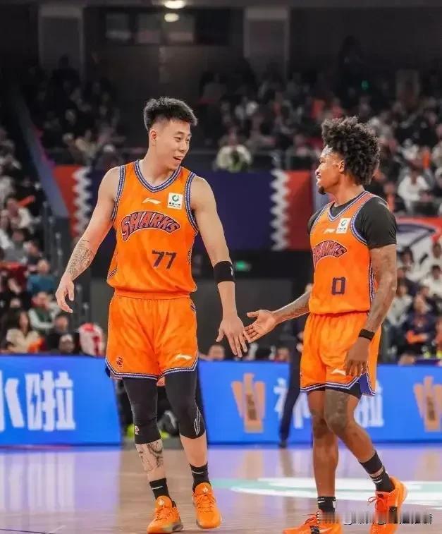 不得不说辽宁队和杨鸣都太明智了！看了昨天上海队和浙江稠州队的比赛，其中张镇麟上