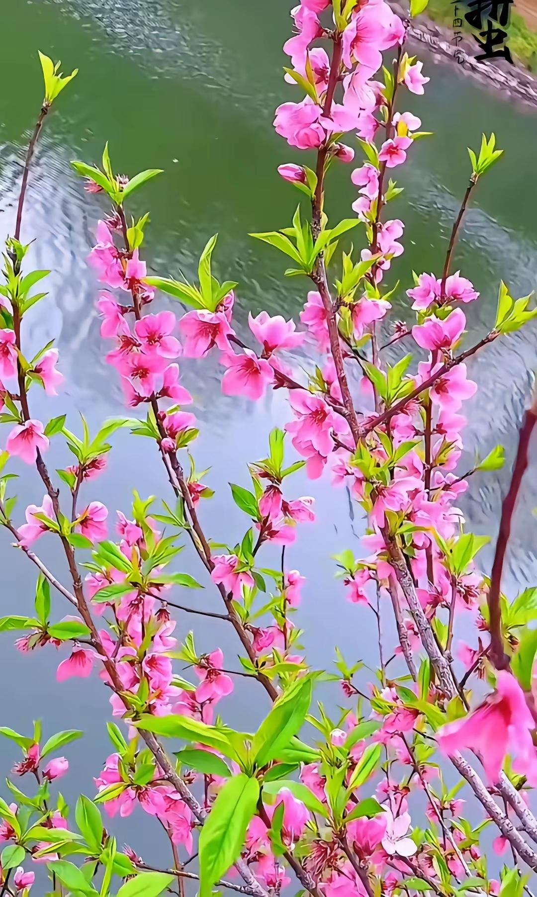 好运从来不是天上掉的，它藏在你每天不起眼的选择里。1. 好运，从好好说话
