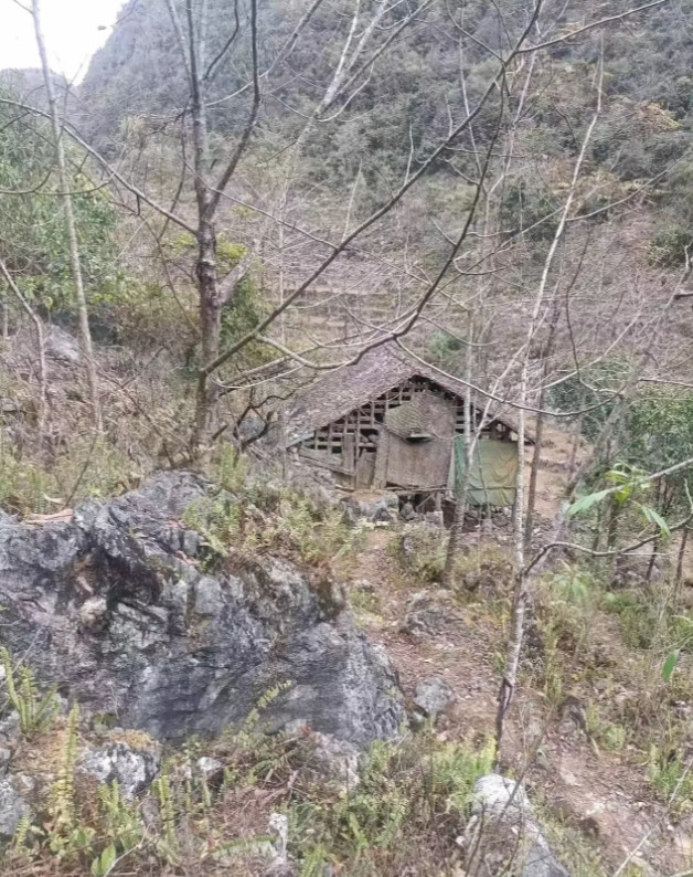 广西河池，有一名男子回老家过年，想起山中一间破草房里，还居住着一位50多岁的大叔