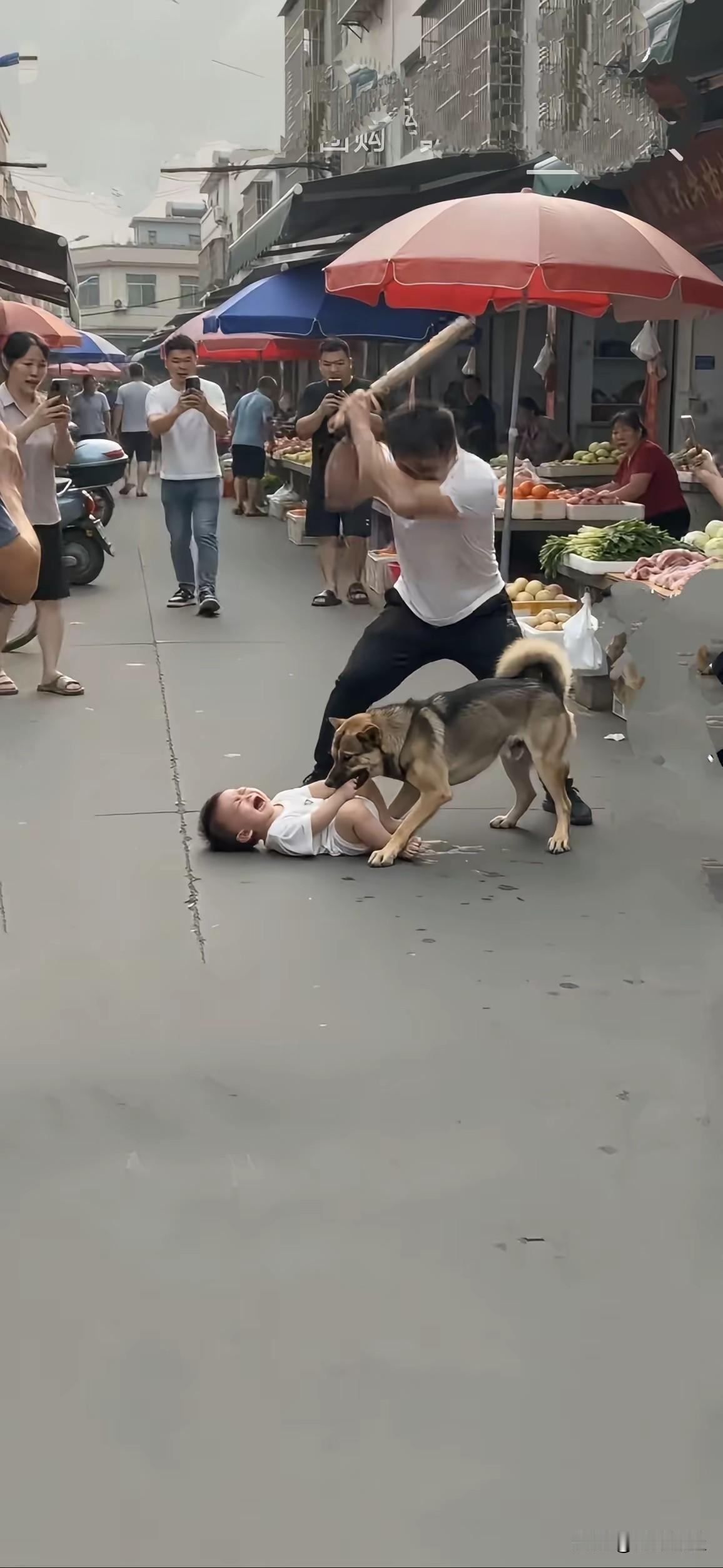 看到画面里这揪心的一幕，看完你还会轻易养狗吗？图里年幼弱小的孩子，被体型、体重
