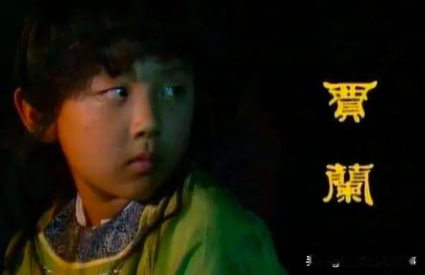 贾兰作为贾母重孙、王夫人嫡长孙，亲爹还早逝，按理说该和宝玉一样享盛宠，为啥总显得