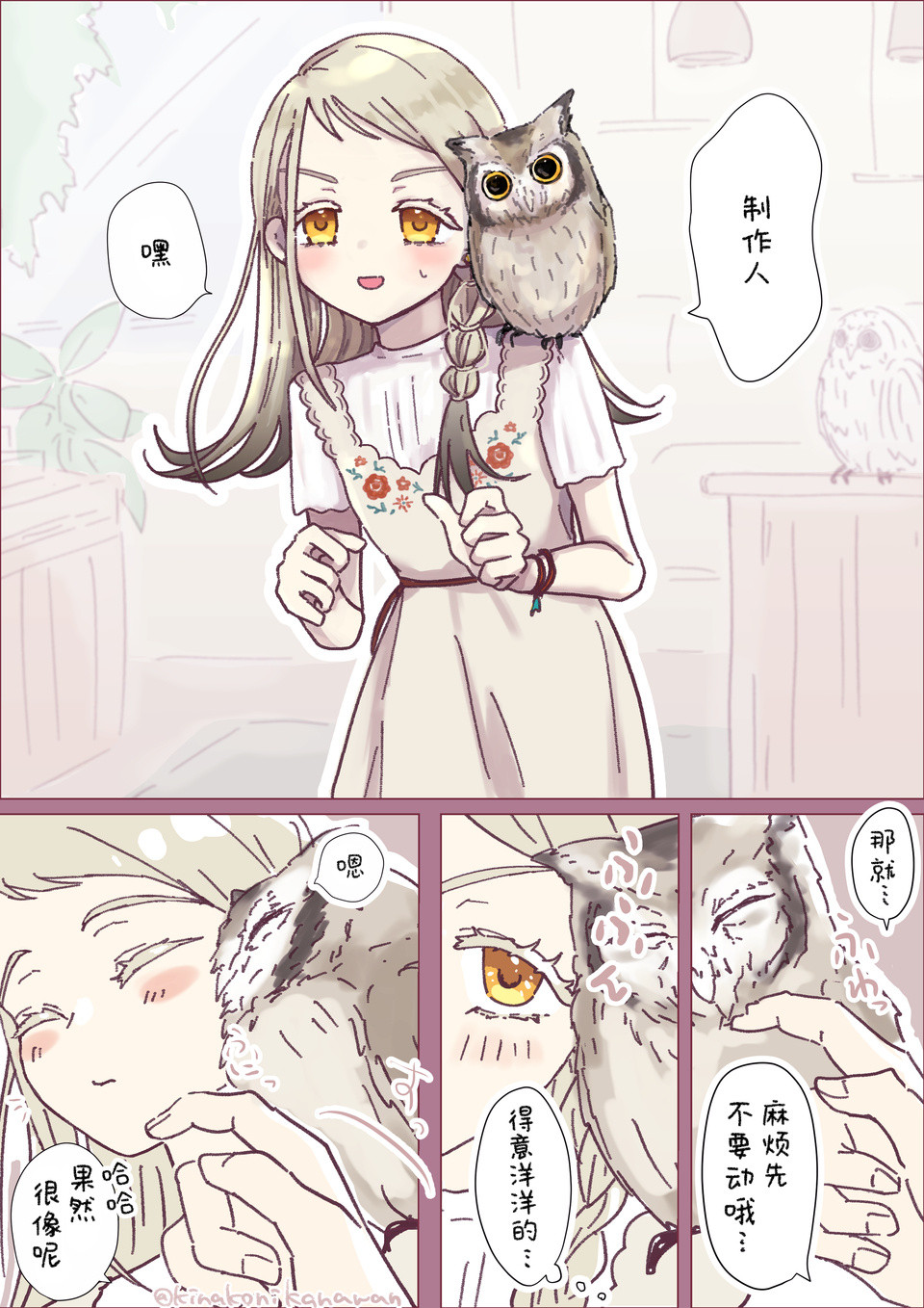 猫头鹰和猫头鹰广总之就是很可爱​​​