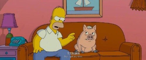 人生的重要法则:1.不要瞎想2.别太在意他人的目光3.多肯定自己4.有空多看书5