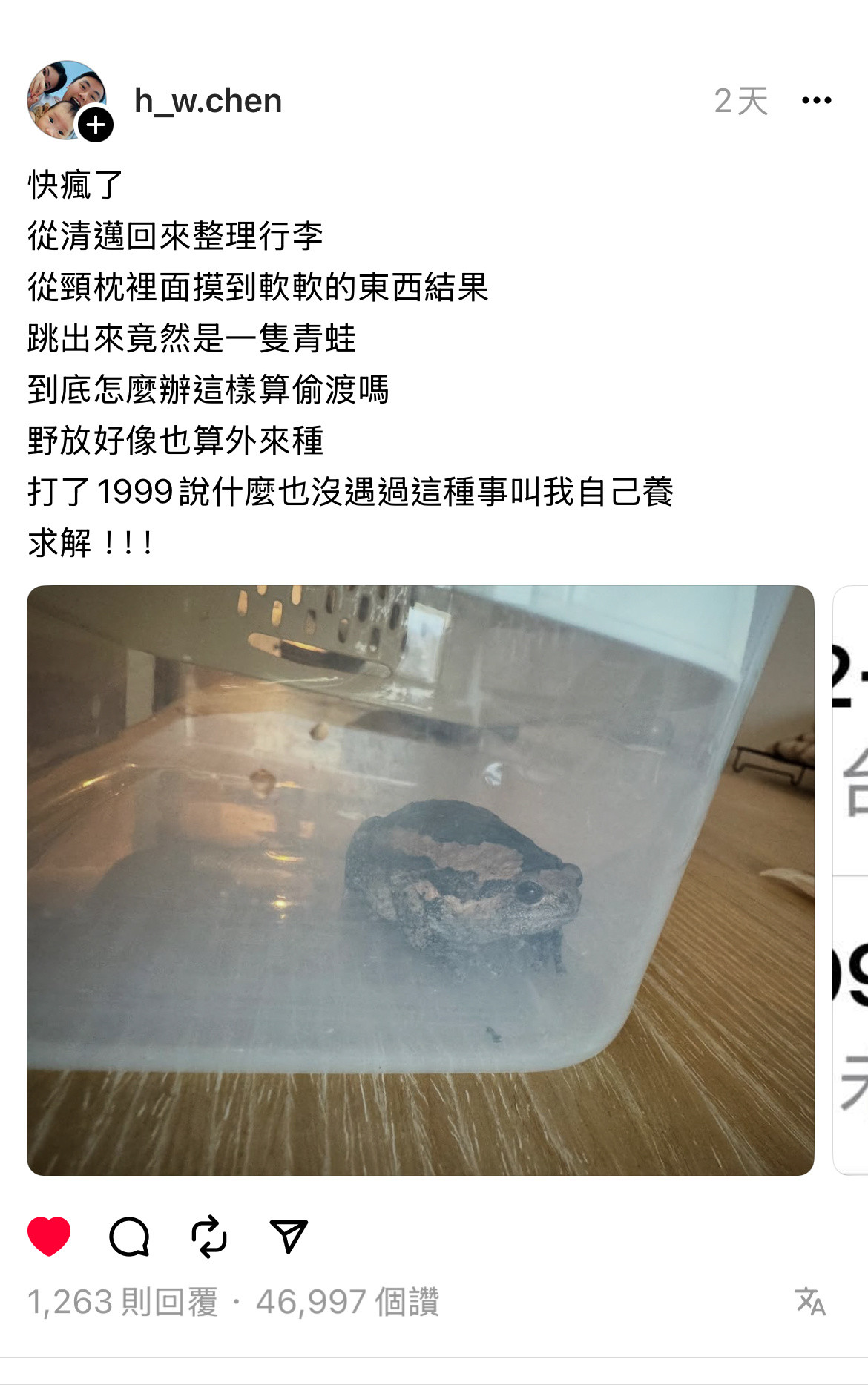 旅行青蛙是真的！？颈上添蛙真的受不了🤦🏻​​​