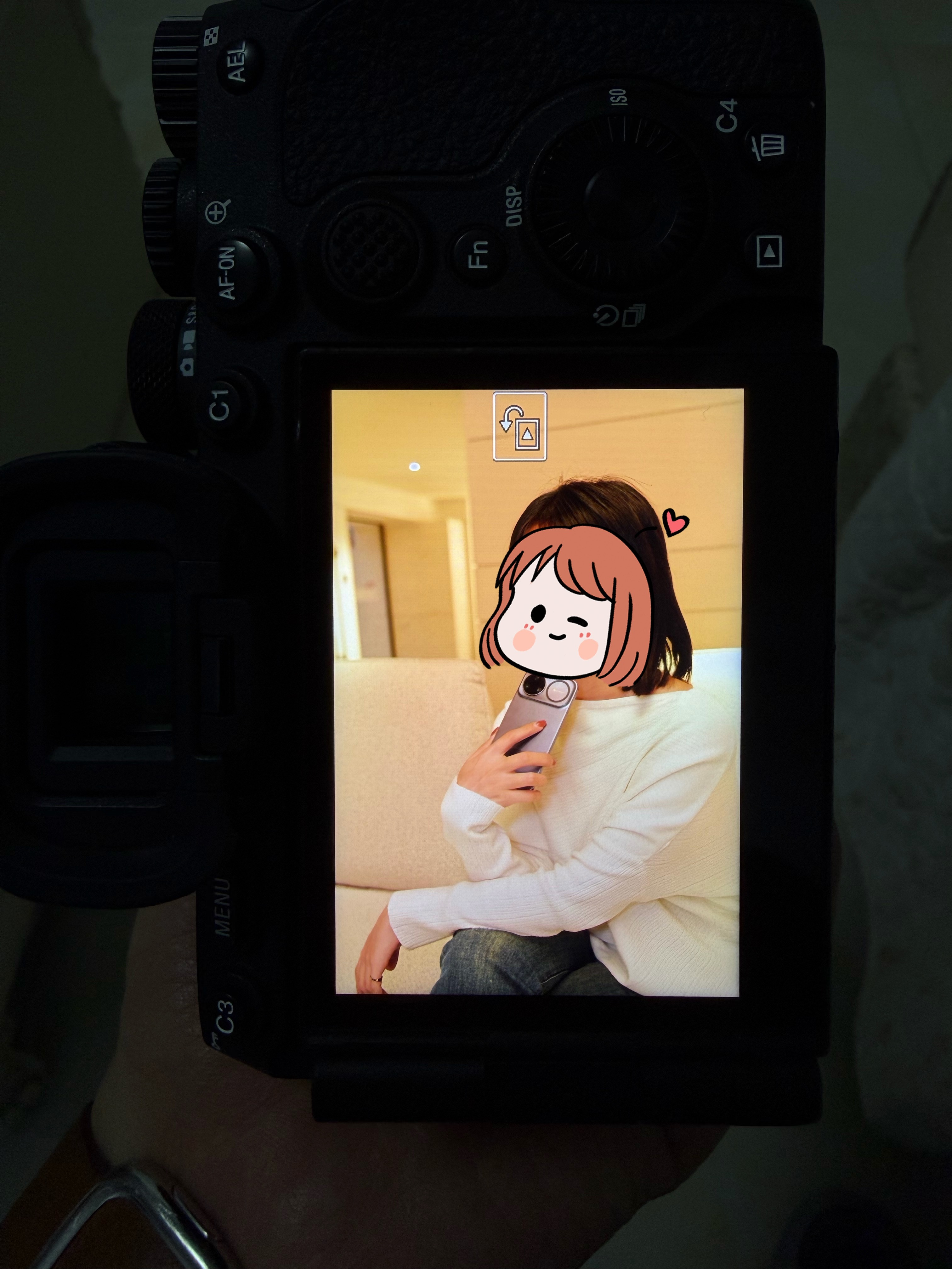 今天拍了两位美女