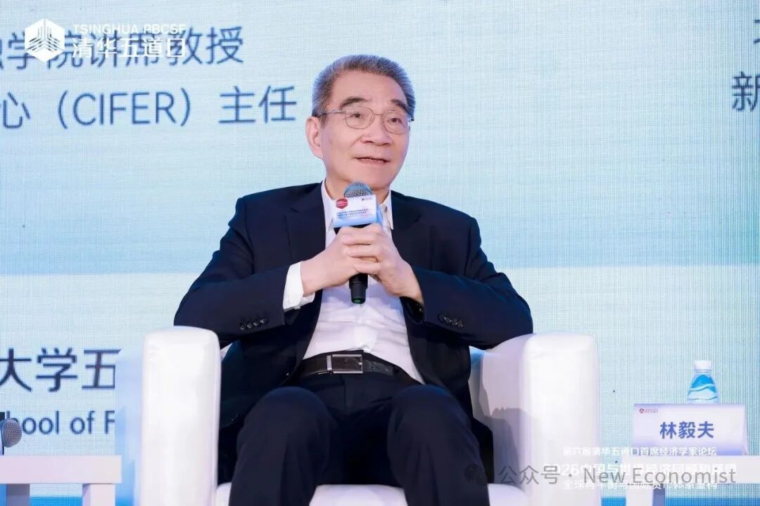 林毅夫: 别指望消费去补外需的缺口, 大概还得靠投资(全文)