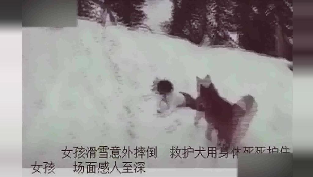 [经典单板和双板滑雪教程].双板21-0003[wWW.4HuaDiAn.COm]_土豆视频