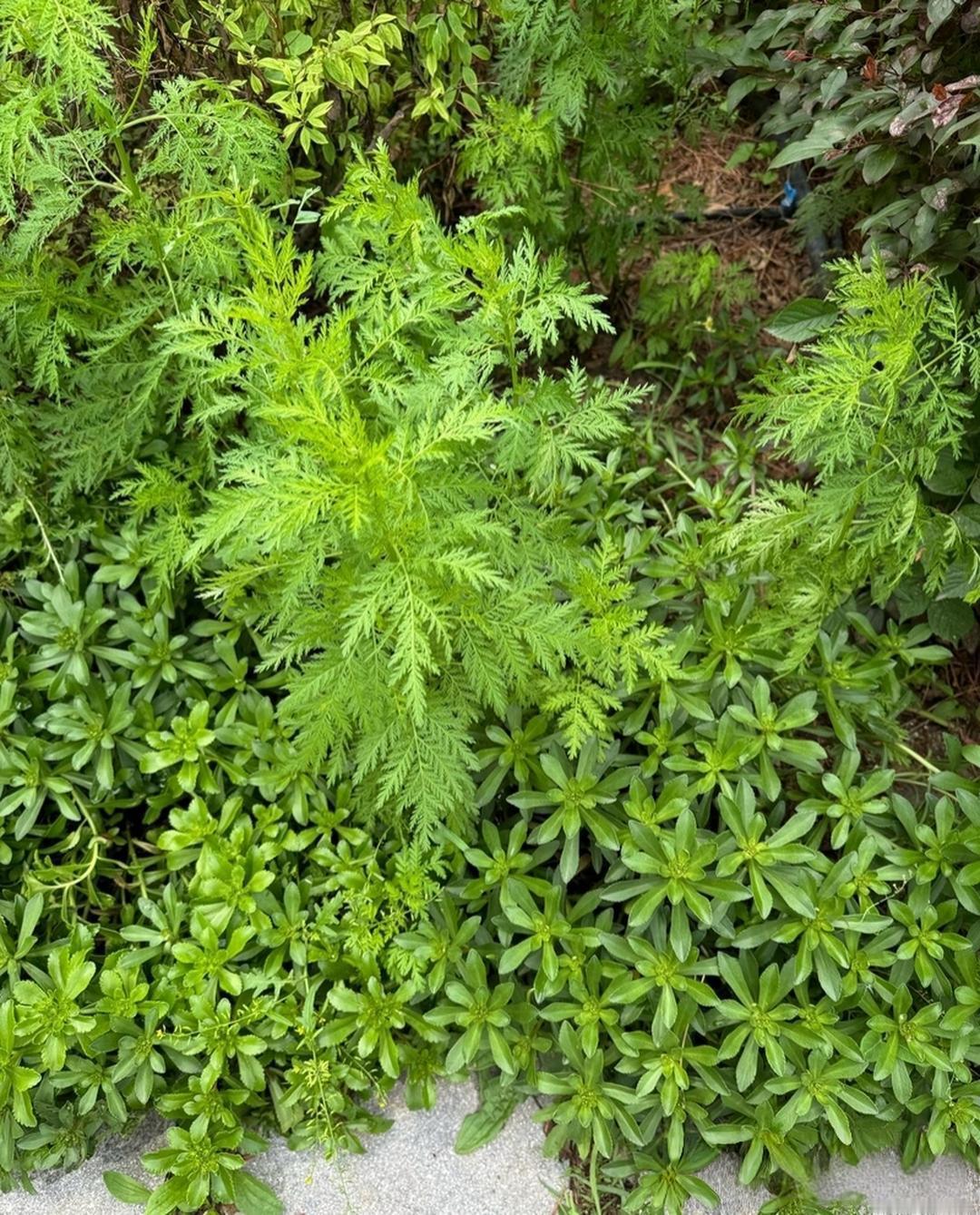 我们公司有个女同事，一到冬天就穿着同一件羽绒服，感觉没十年也有九年了。我后来才