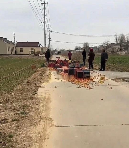 我天，这可咋整？