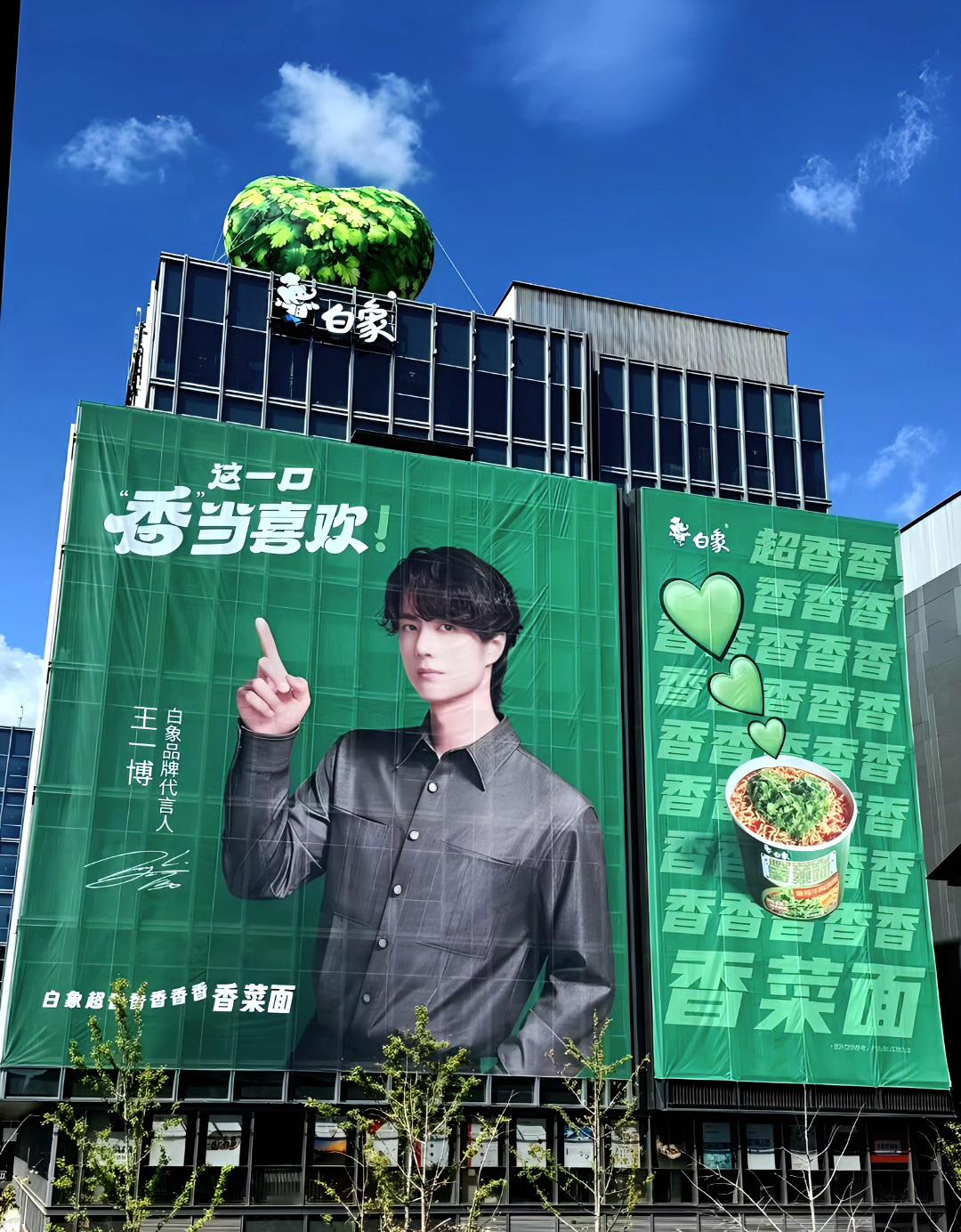 白象这高奢面大海报，好大好帅啊！王一博​​​