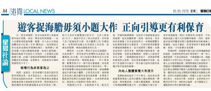 2026年5月5日，一群内地游客在香港西贡火石洲浮潜时，抓了三十多只海胆，就在岸