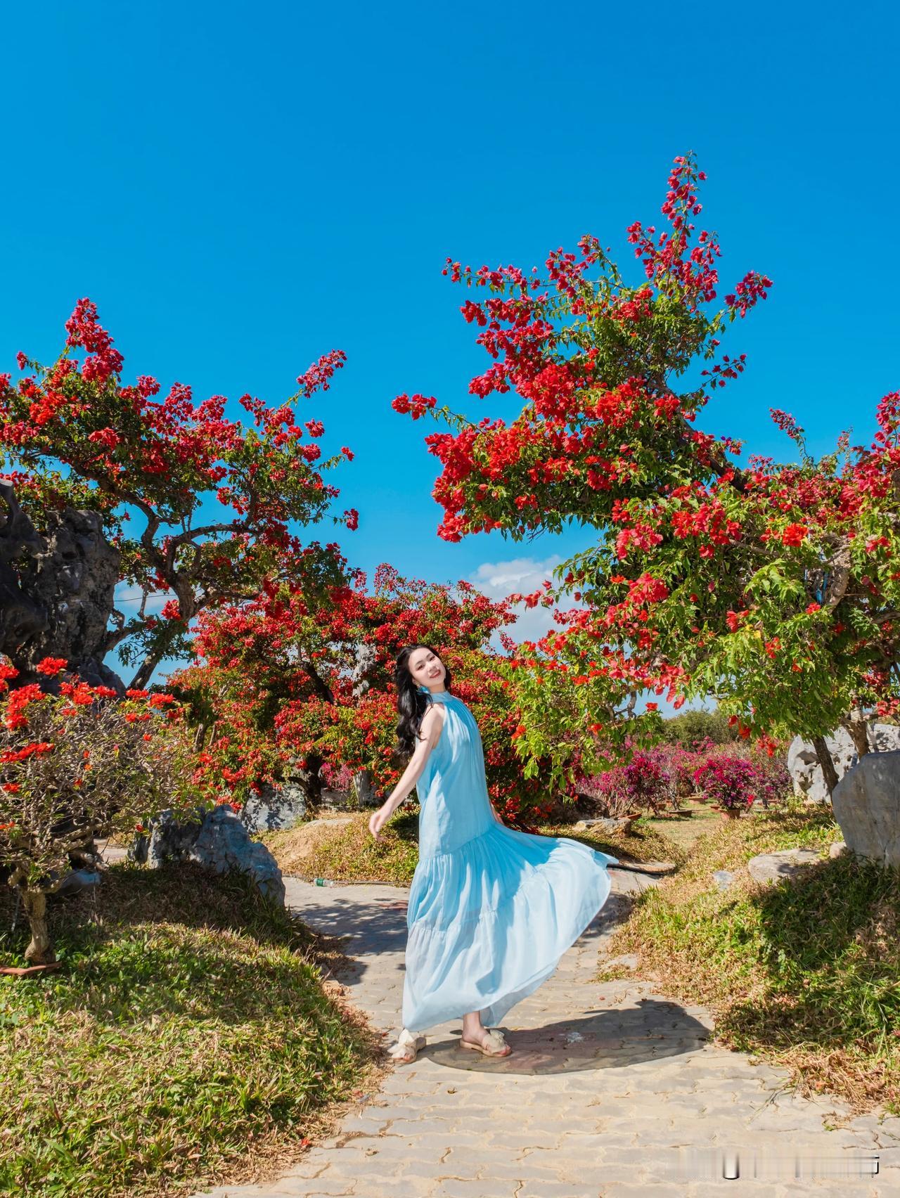 【陵水南旅拍】📍南湾花镇客片分享📷摄影师：@梨木子摄影师一头扎进春