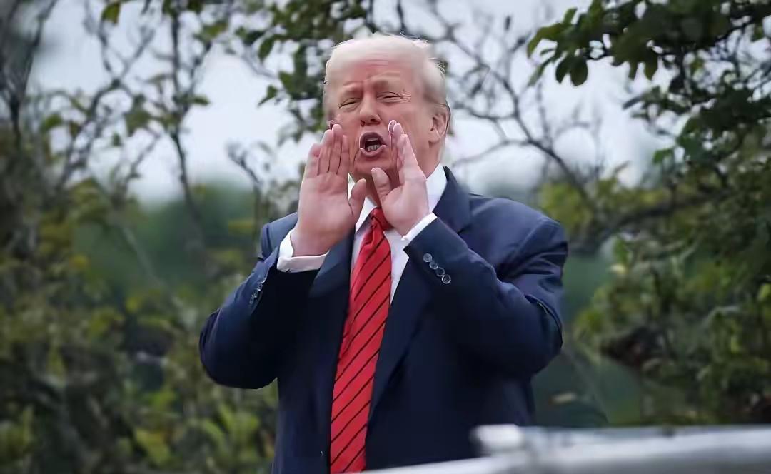 深夜睡不着的特朗普又发挥“推特治国”了。​“我将永久开放霍尔木兹海峡，中国非