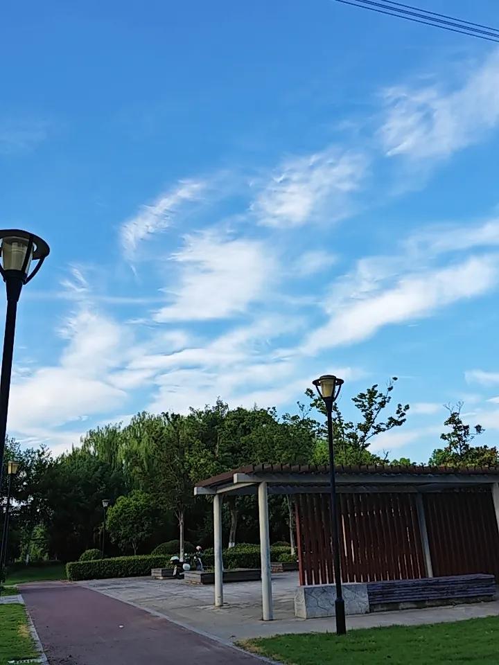 养生最残忍的真相：百病不是缺营养，而是用过头了！老祖宗一句“生病起于过用”，