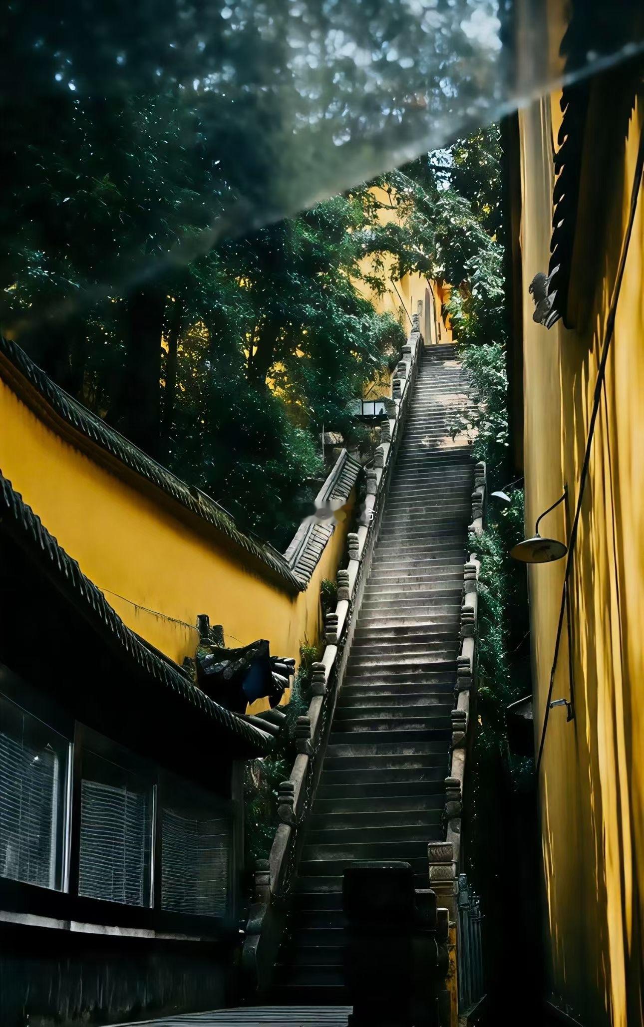 正午了，太阳正高。今日农历五月初六，甲午月乙未日。🌿午时是一天中阳气最盛的时