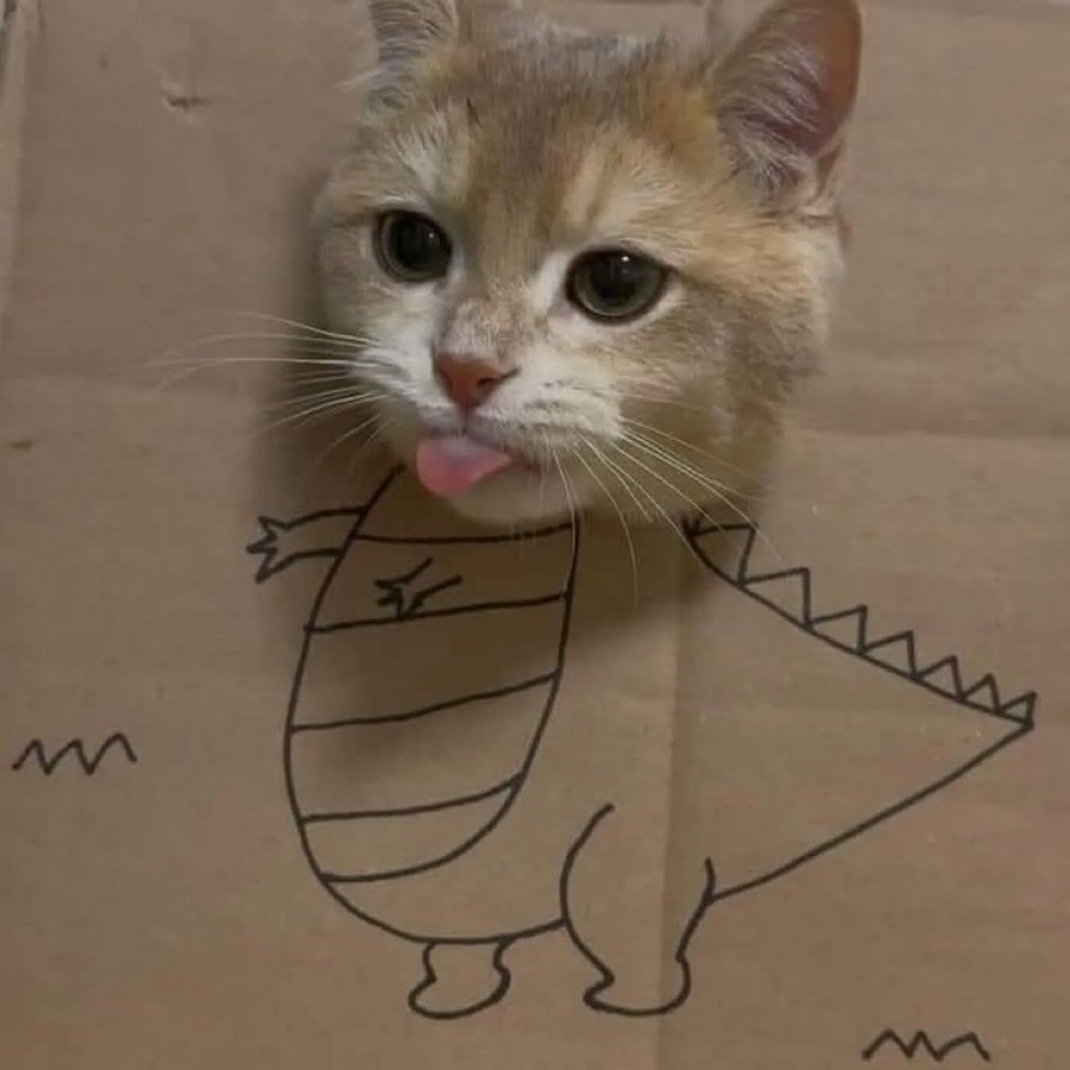 恐龙🦖​​​