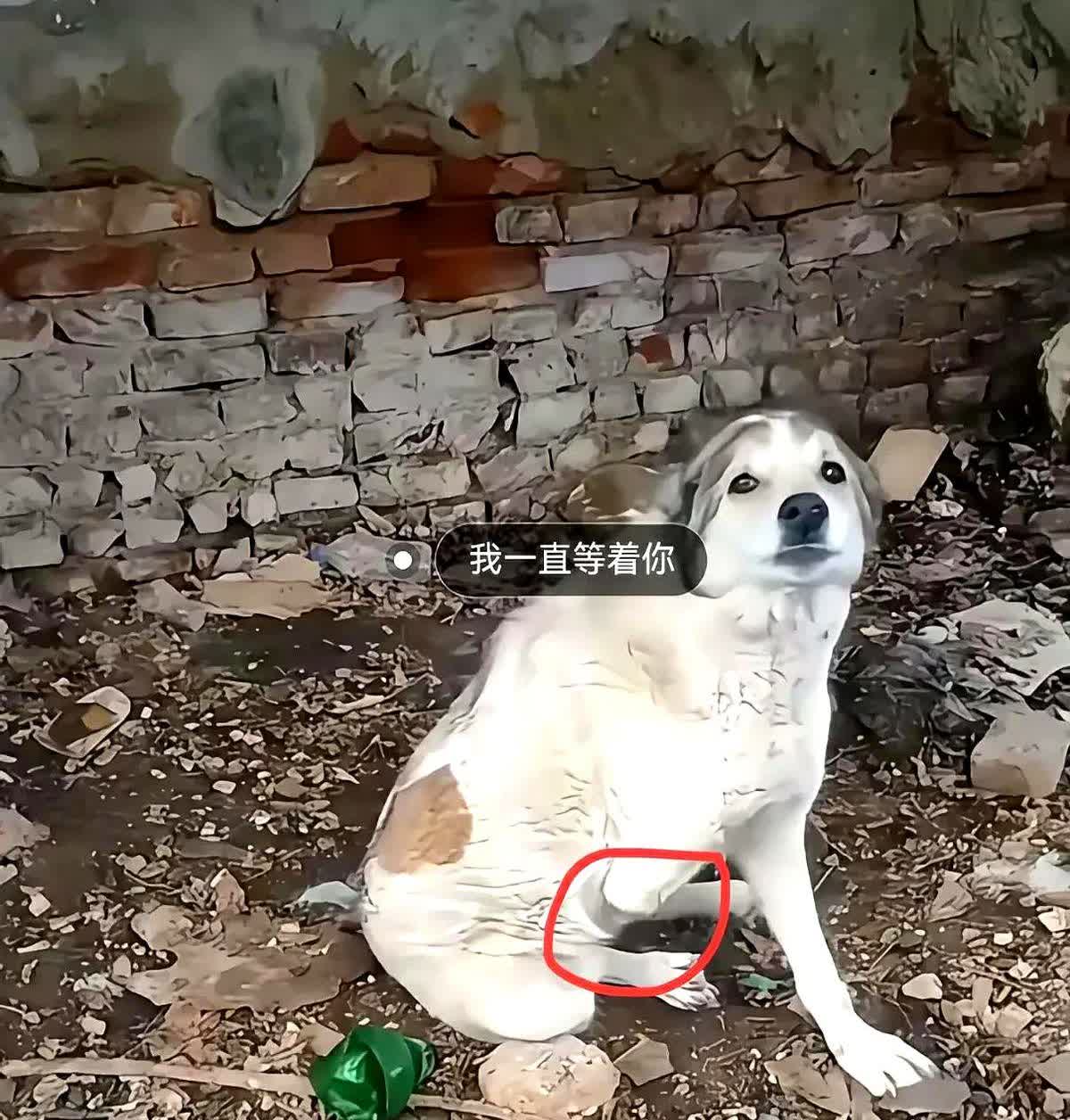 男子独居在老家的父亲去世了，办完丧事后因为家里没人了，男子三年多都再也没有回过老