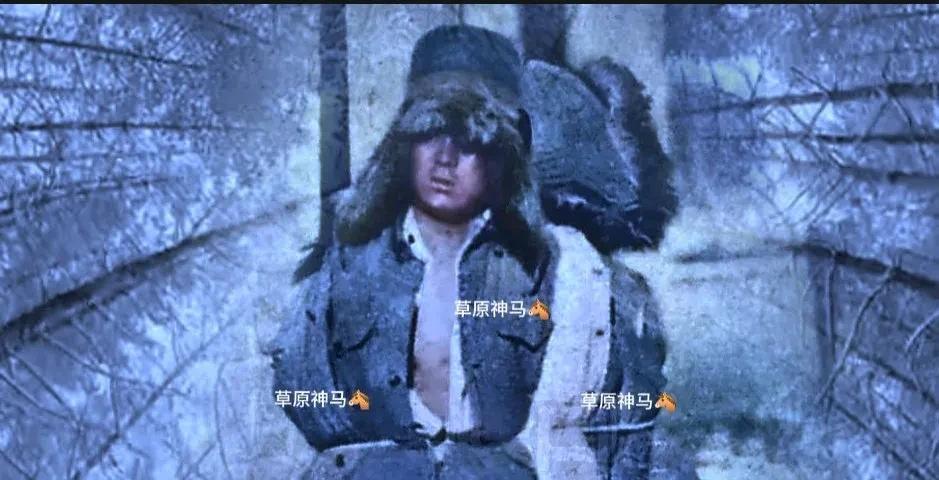 为什么所有的国人都向他俩敬礼一九三六年十二月二日晨，伪满佛山县城(今嘉荫)，忽