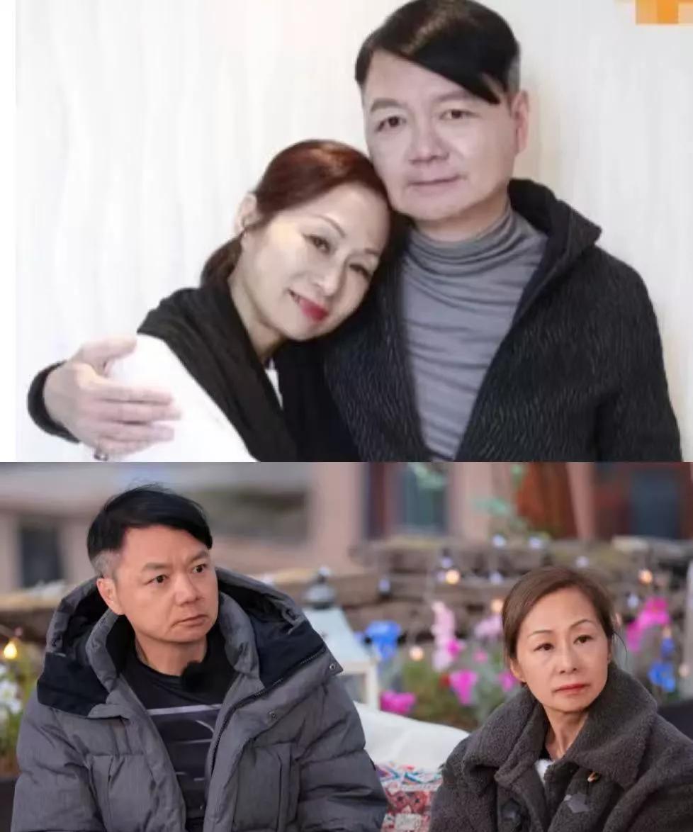 我怀疑过Lisa打麻将是为了逃避现实也怀疑过艾威想离婚不过是上节目的理由但我