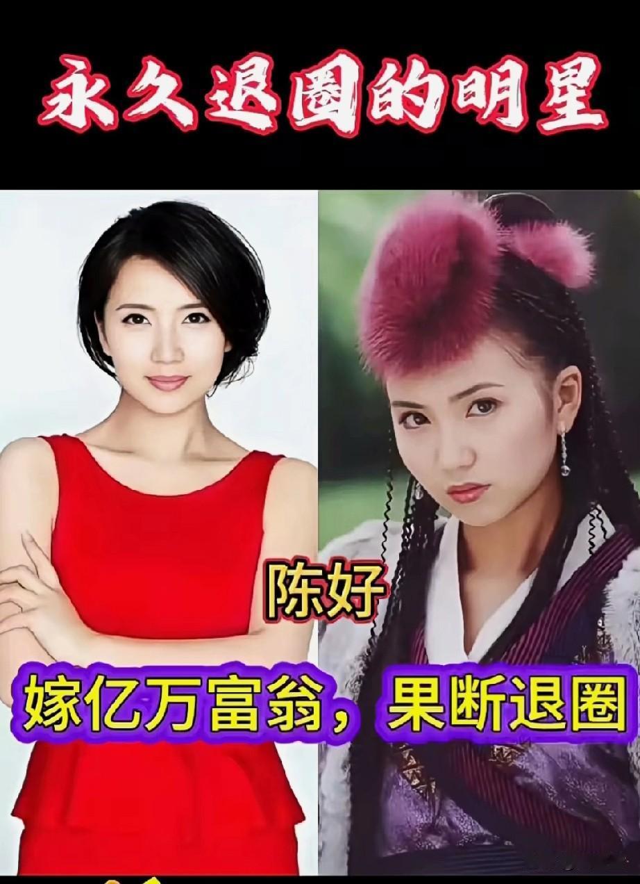 永久退圈的10位明星有几位真的好经典你觉得哪位最可惜？