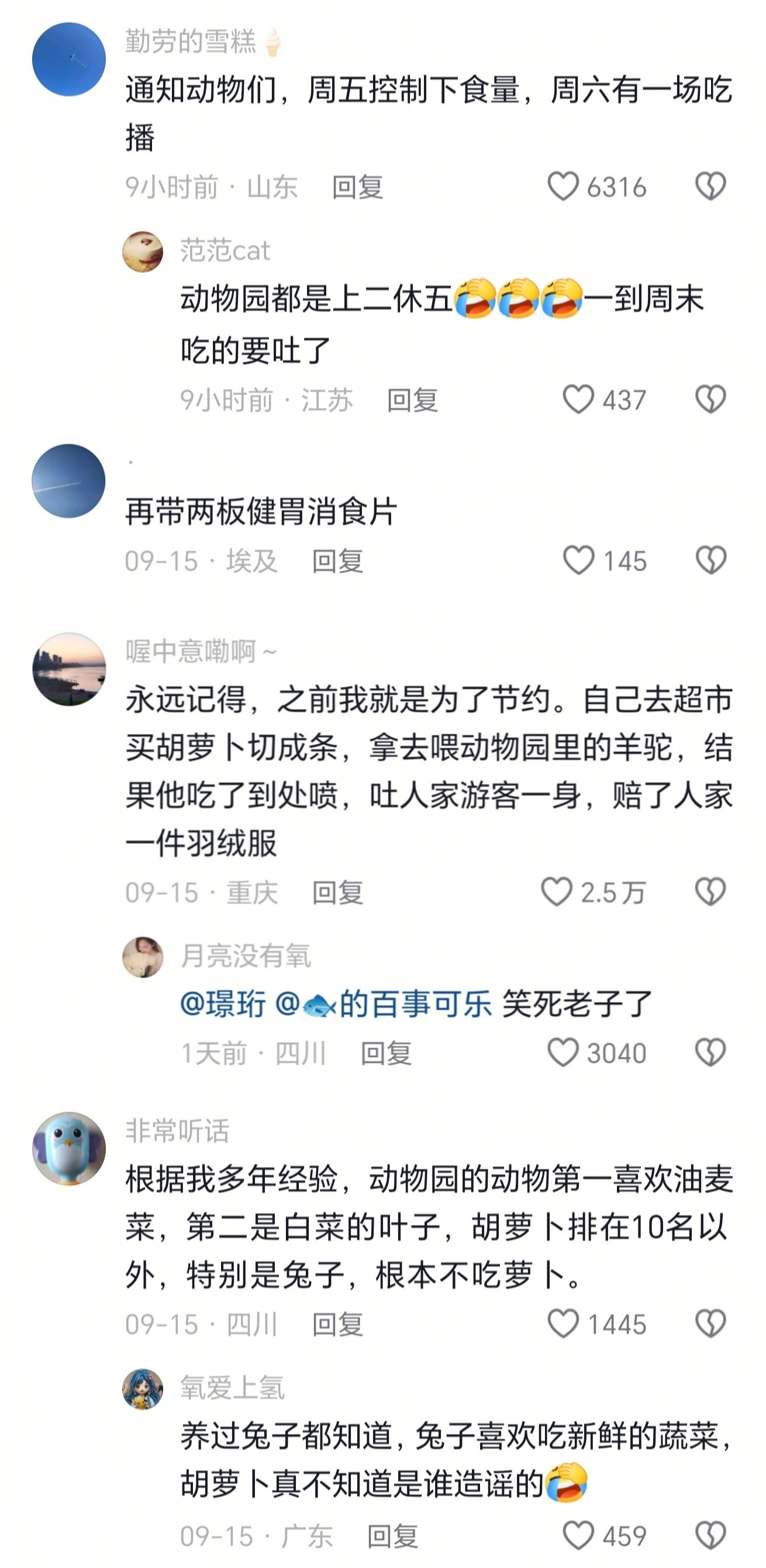 第二天动物园里的动物皮肤都黄了​​​