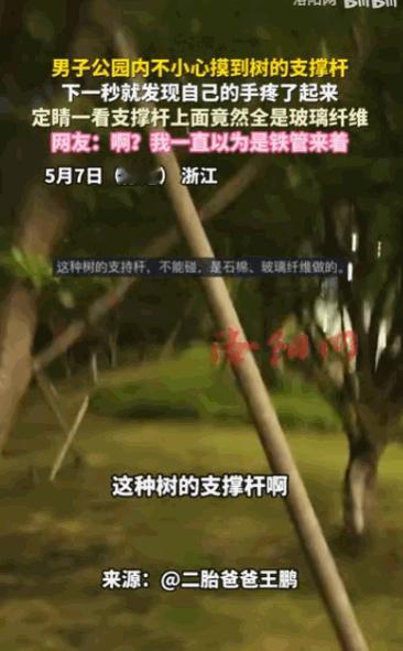 谁能料到，看似无害的公园绿植支架，竟藏着伤人的陷阱？据媒体5月7日报道，浙江一名