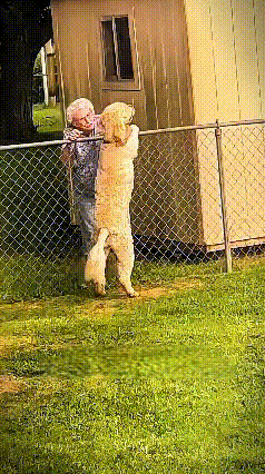 乖乖嘞！这事儿看得人眼泪止不住往下淌！老奶奶年纪大了，被家人送进养老院，可她养的