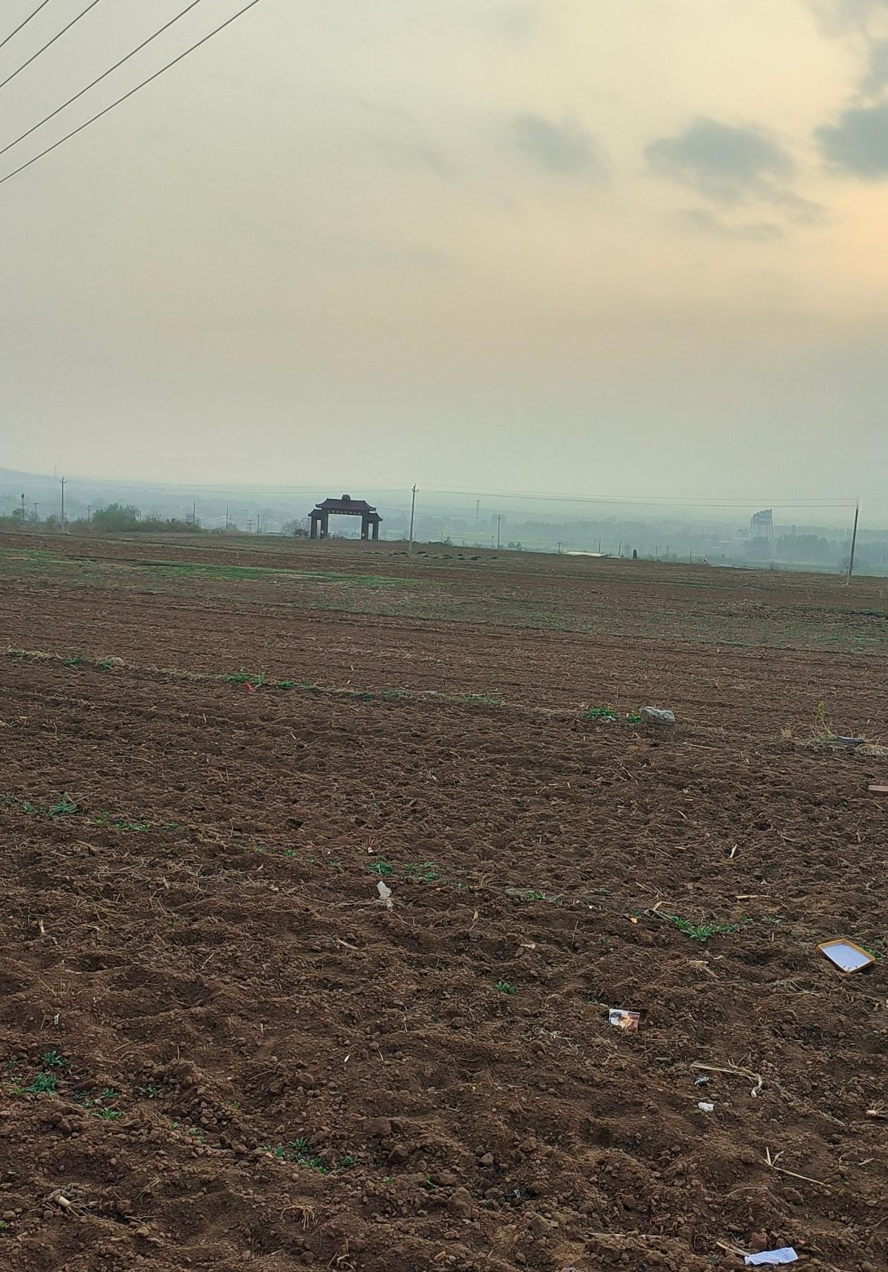 2025年中央一号文件明确提出推进农村土地制度改革，有序开展“一户一田”土地归并