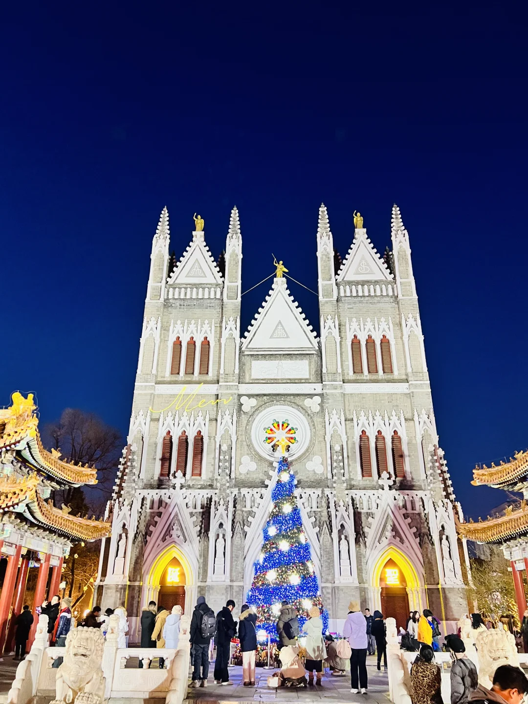 12.14❗西什库教堂的蓝色圣诞树🎄