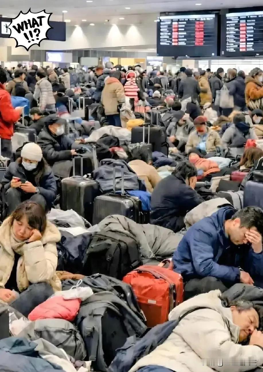 北海道滞留游客引全网热议，这次我站网友的幸灾乐祸！明知北海道暴雪预警，偏要