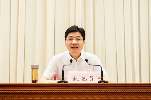 姚高员, 辞去杭州市市长职务