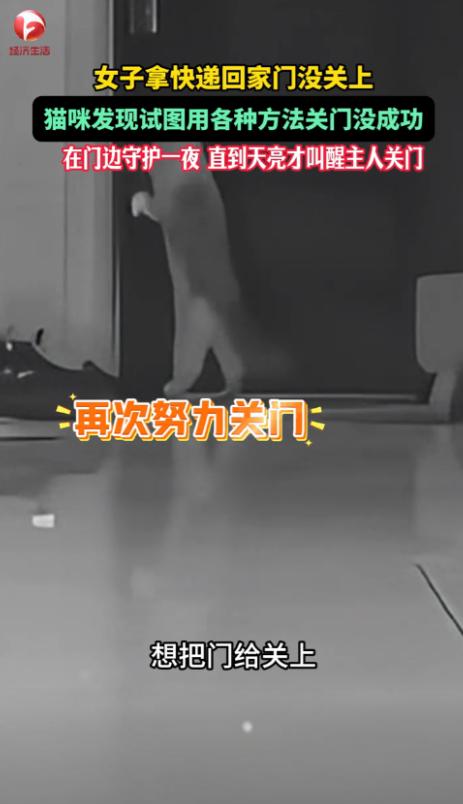 这也太通人性了！9月4号那天，新疆有个女子，大半夜忙完回家，手里拿着快递，关门没