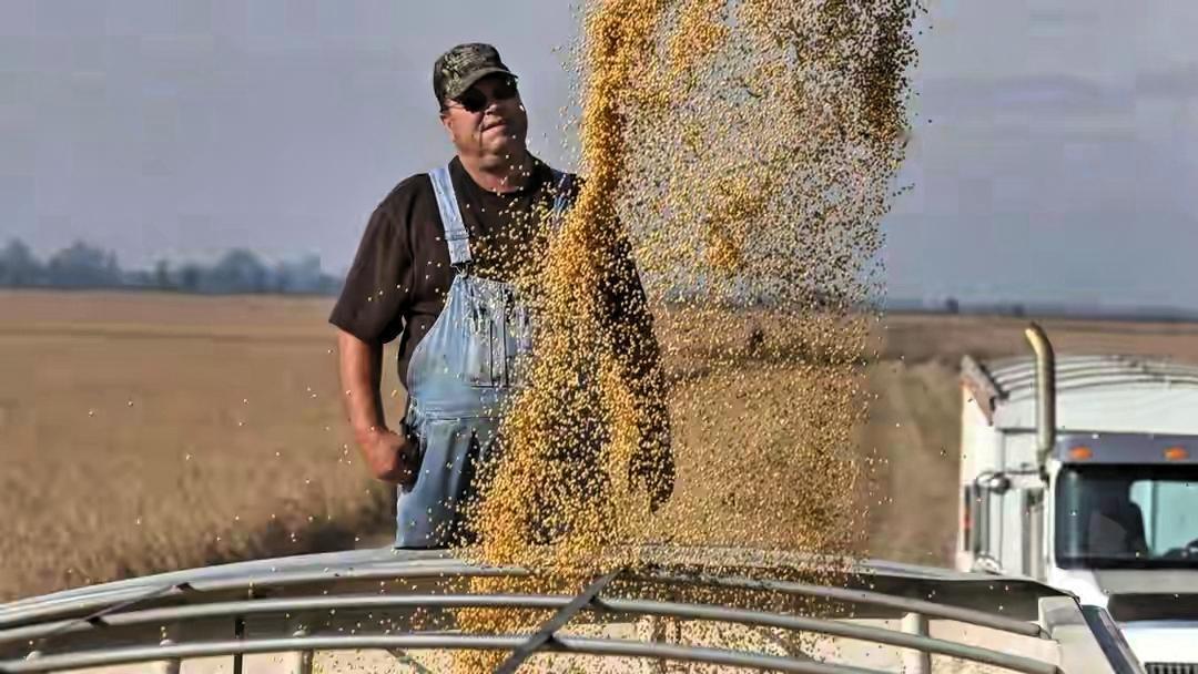 中国买了18万吨美国大豆,这步棋下得真妙!表面看是普通贸易,实际上是一次精准