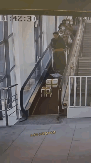 类人群星闪耀之时