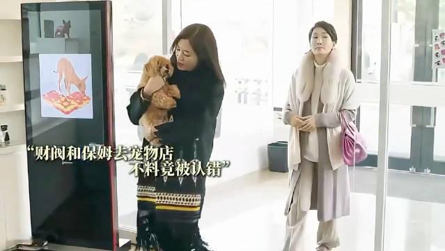 前世的愿望好像实现了又好像没实现